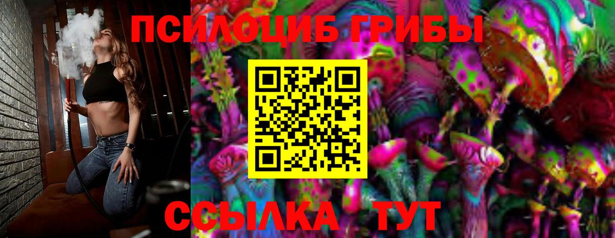 Псилоцибиновые грибы мицелий  Вход с VPN  Хабаровск 